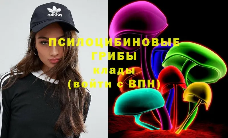 Псилоцибиновые грибы Magic Shrooms  Верея 